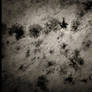 Dark Spots Texture