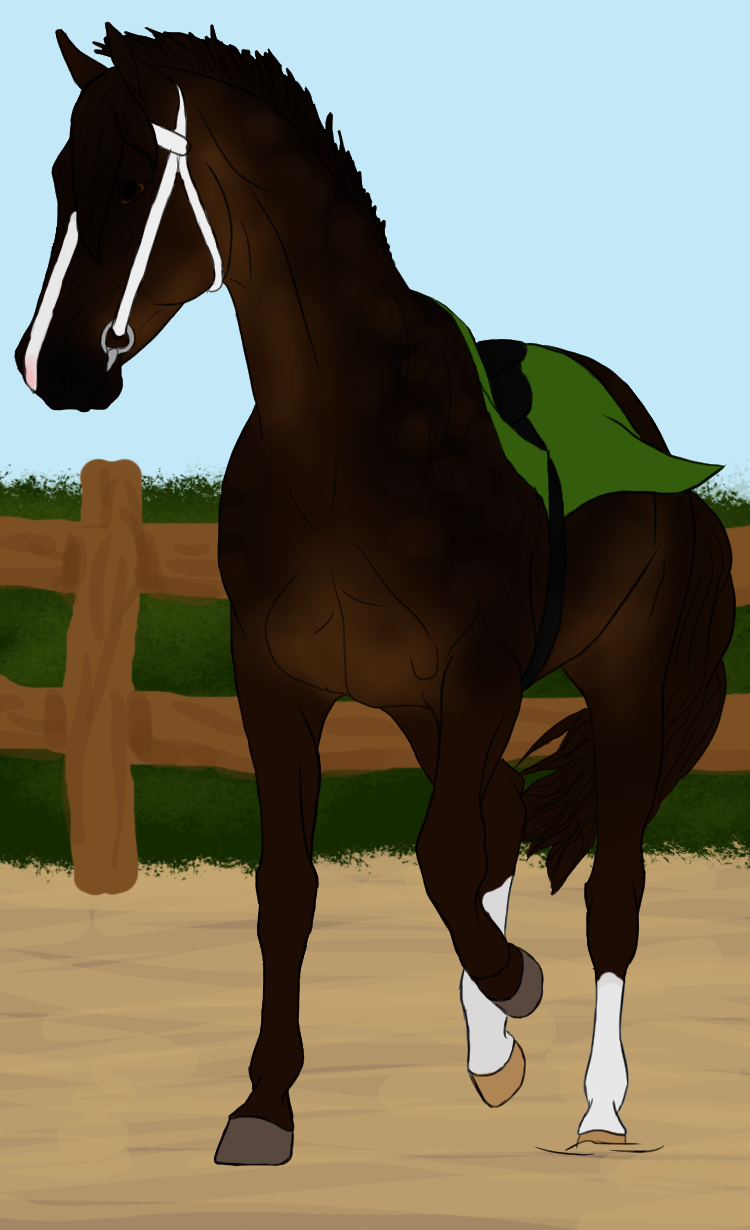 Tari+Saddle=?