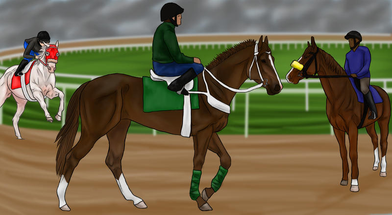 Preakness Training