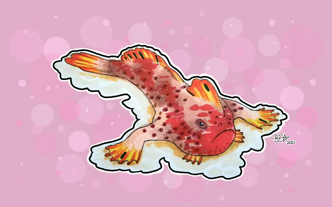 Red Handfish by BrittneeDoesArt on DeviantArt