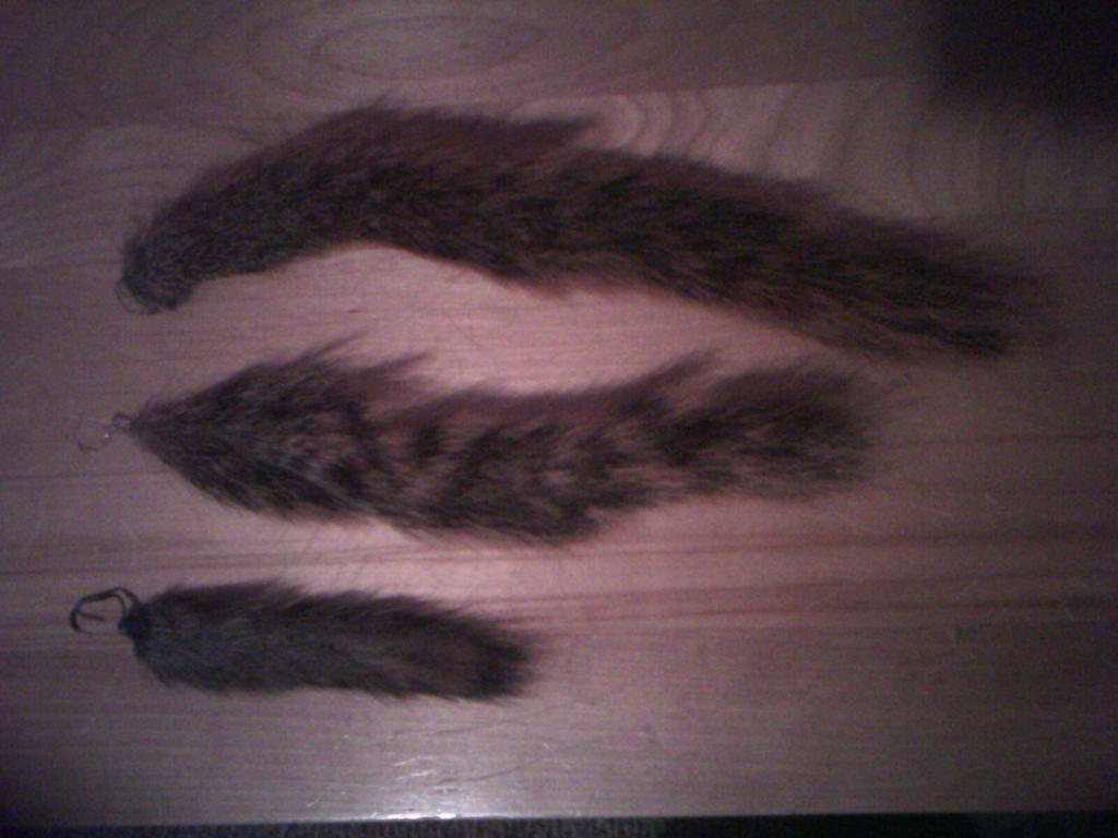 Squirrel tails