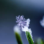Abiotic Addition by Zeitwolf