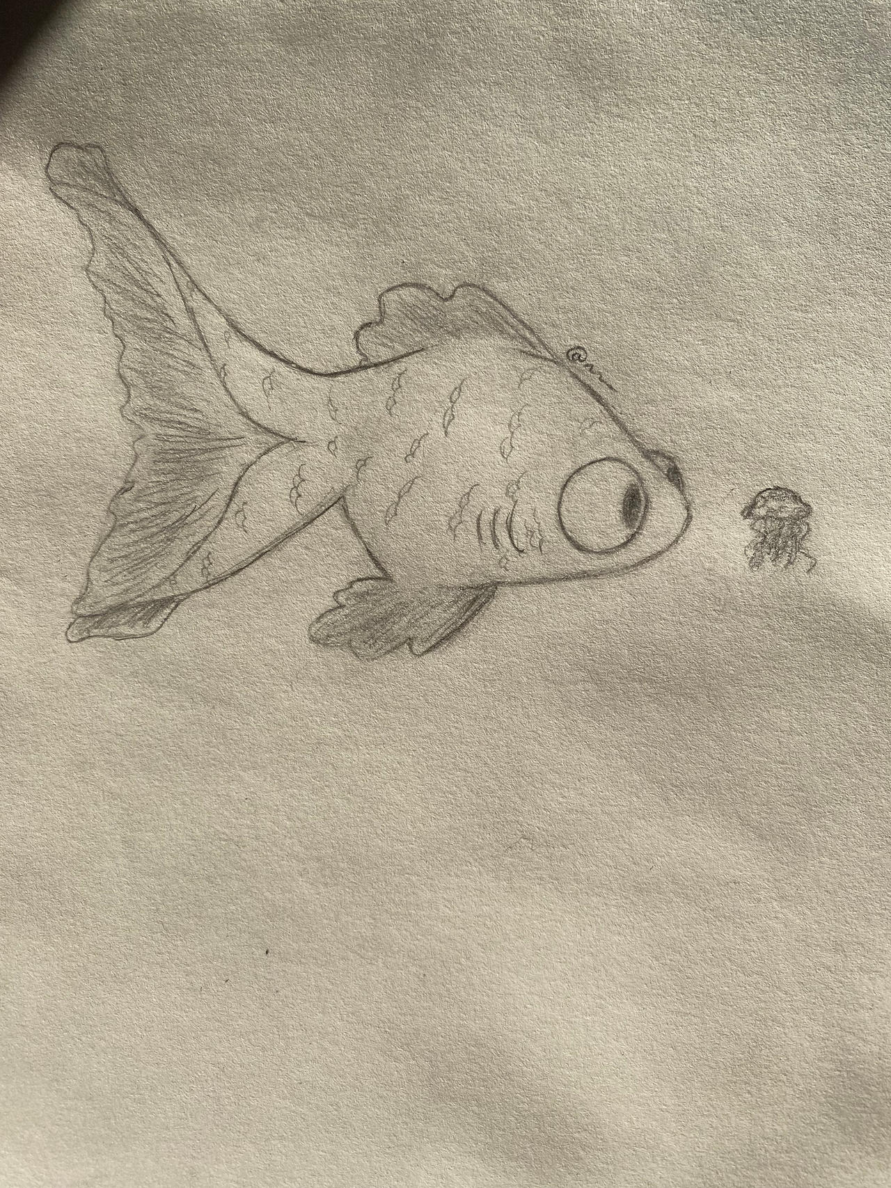 Fish Sketch by AdventurousDuck on DeviantArt