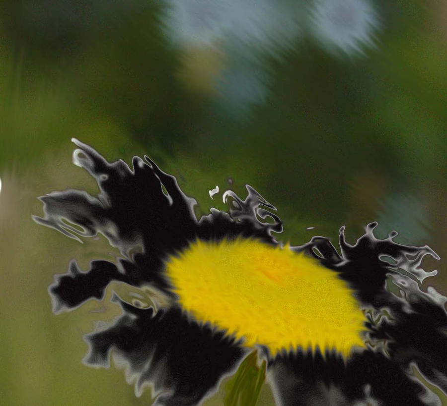 Dissolving Flower by iJooblies on DeviantArt