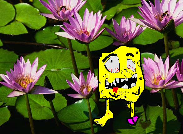 Spongebob footpenus