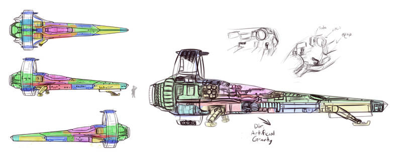 What's Inside a Starship