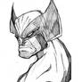Morning Sketch - Wolverine