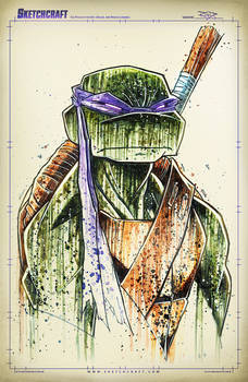 TMNT Saucy Donny