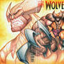 Commision: Wolverine - Color Pencil