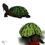 Melon Turtles by Project5243