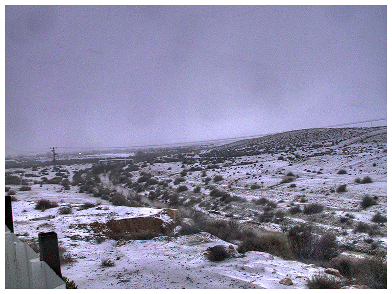 Desert Snow