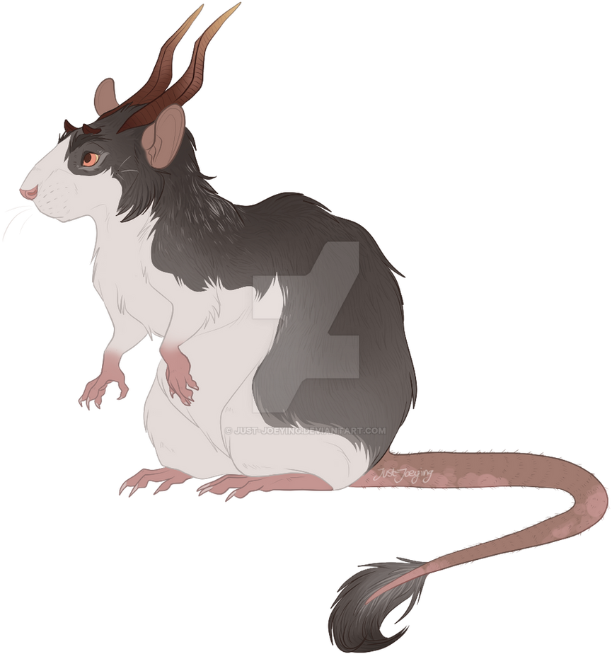 Fantasy Rat Concept 1 Design 1 by Just-Joeying on DeviantArt