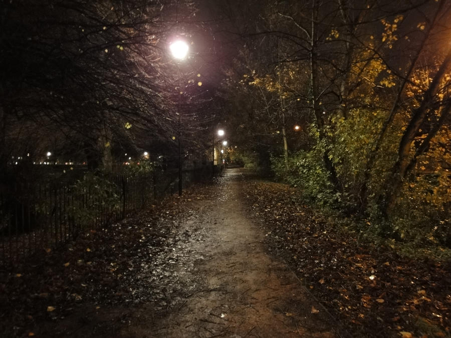 park path at night by Shutterbug2010 on DeviantArt