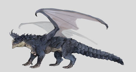 Dragon design 1