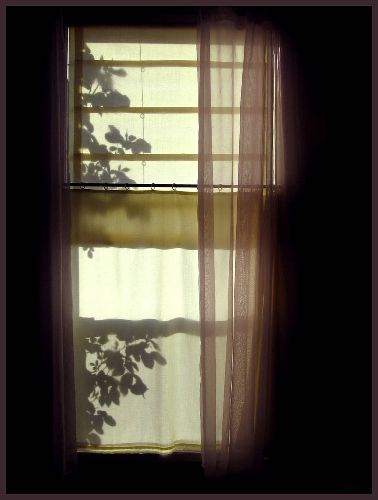 window 2- roses by willowleaf