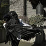 Prince Mytho Raven 10