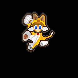 me in mL superstar saga sprite meow!