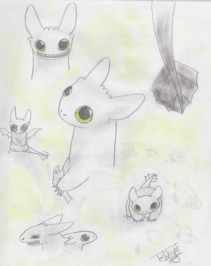 Toothless Sketches by TheSnickers545 on DeviantArt