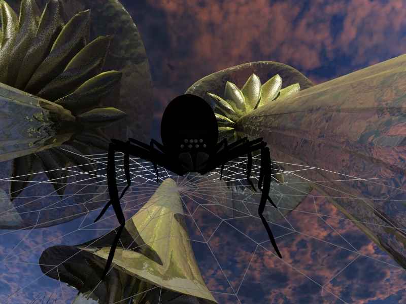 darkspider wed