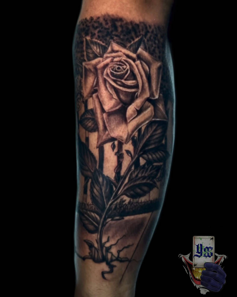Rose concrete tattoo by MalcolmFlexHollis on DeviantArt