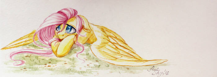 Cute Fluttershy