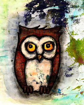 Owl