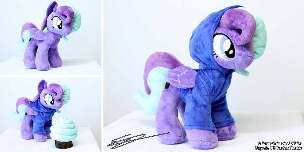 Cupcake Pony Plushie With Hoodie Commission