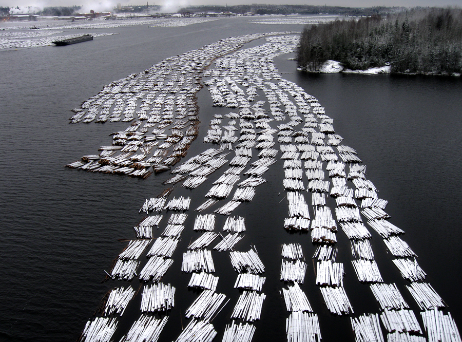 Rafts of Logs