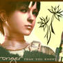 Rebecca Chambers Header o1