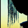 icicles