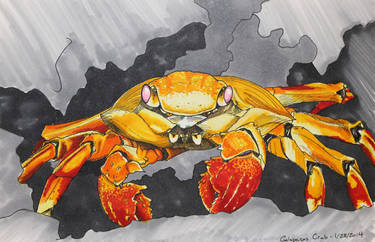 Crab in Copic