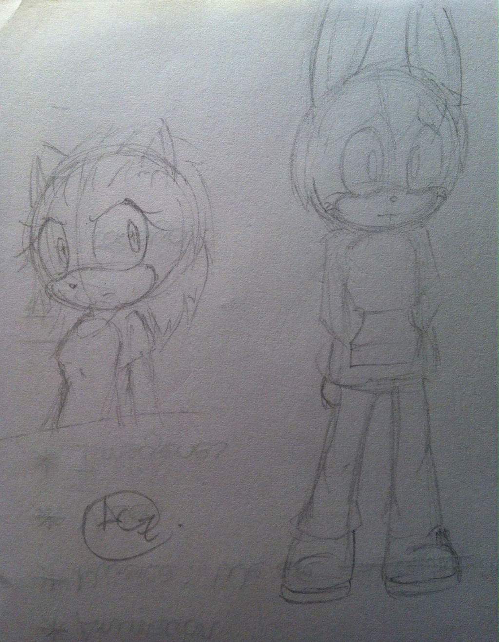 Cholo Rabbit Amy-su the hedgehog and Cholo the rabbit :3 by onlysonamy on DeviantArt