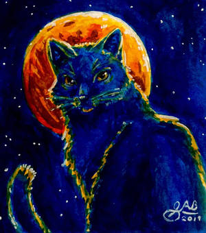 Cat and moon