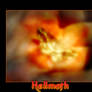 Hellmoth