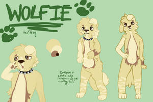 Sona ref sheet - updated!