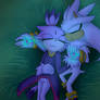 Silvaze Sleeping