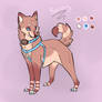 Shiba Inu for Chocostars