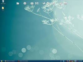 Desktop.15.6.2009