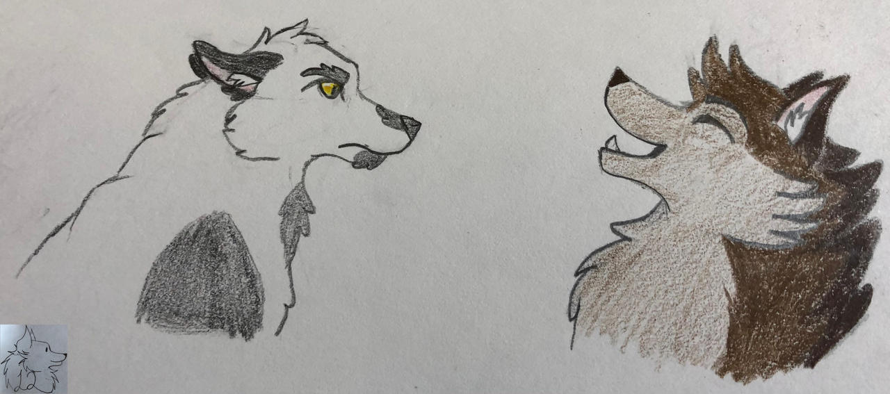 Cartoon Wolves by 12Waterwolf on DeviantArt