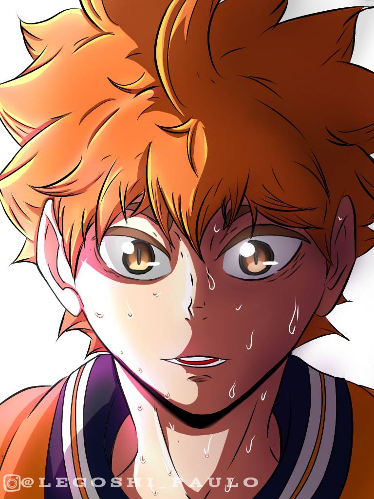 hinata from haikyuu by paulolegoshi on DeviantArt