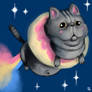 Fat Nyan Cat