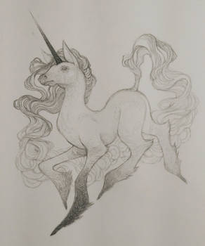 unicorn sketch 2