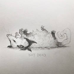 Not dead