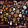 Mushroom Trove!