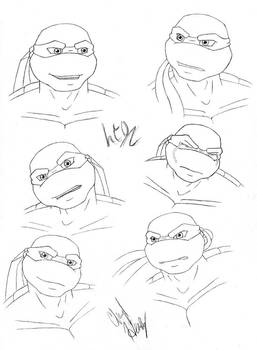 TMNT: Leo's new head