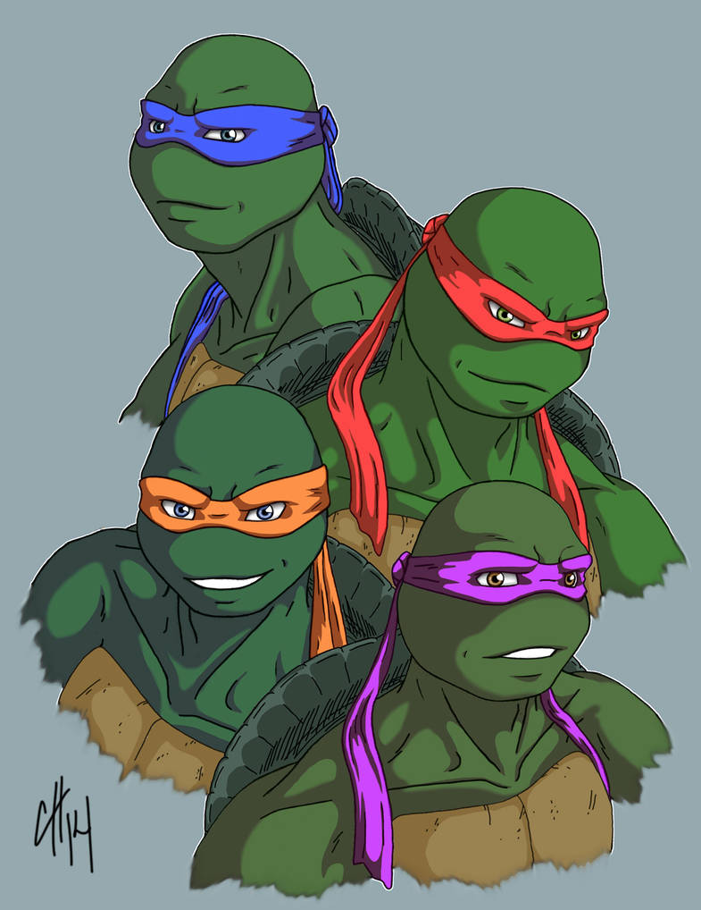 TMNT - Four Brothers