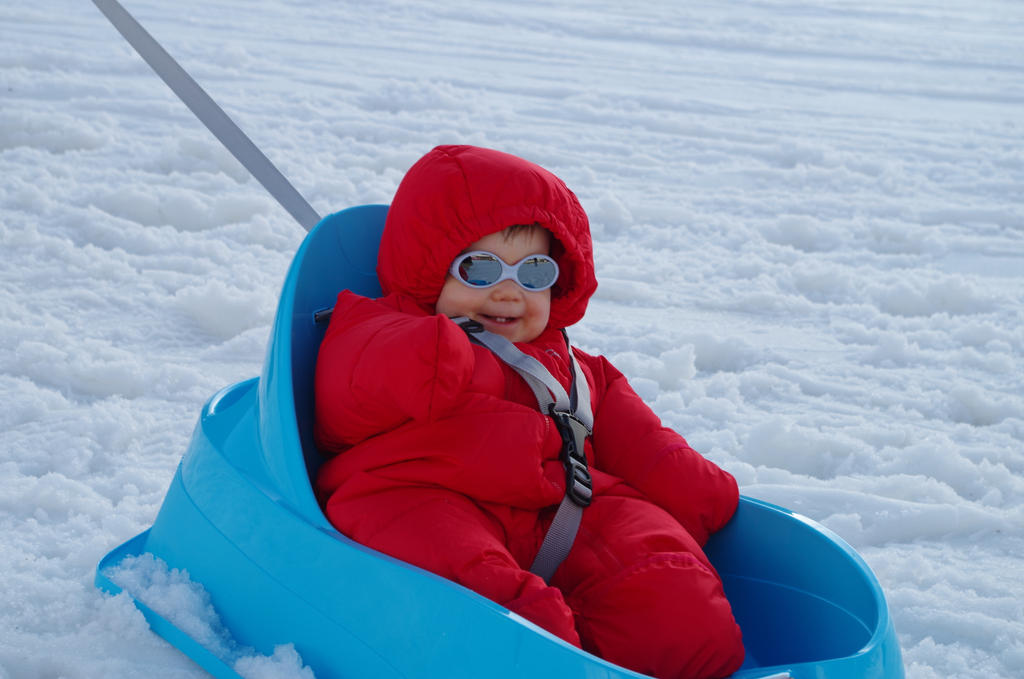 Luge by breizhcomtois on DeviantArt