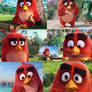 Angry Birds Red screenshots