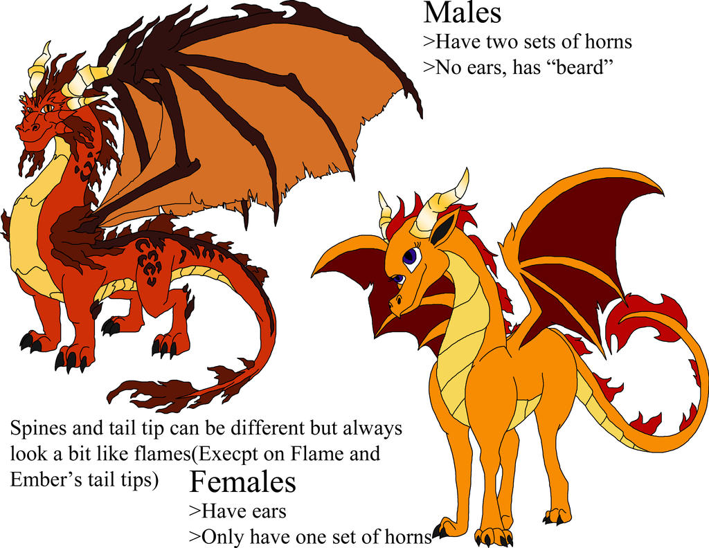 Fire Dragon Gender Differences by KuranaMinamino on DeviantArt