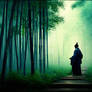 Zen in Bamboo Silence 1